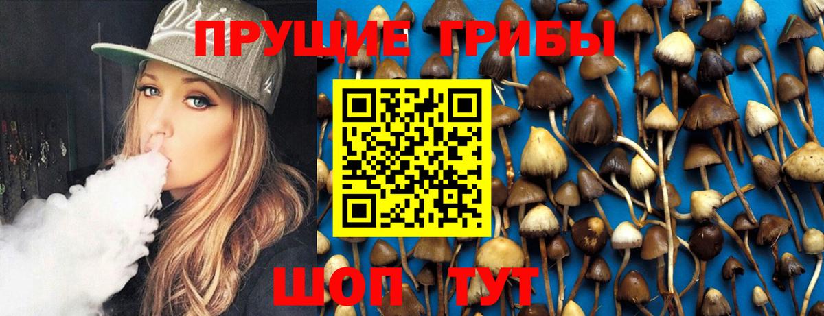 Оренбург  Галлюциногенные грибы мухоморы  Вход с VPN  Галлюциногенные грибы мухоморы 